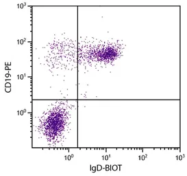 Rat Anti-Mouse IgD antibody [11-26] (Biotin). GTX04223-02