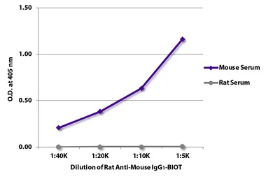 Rat Anti-Mouse IgG1 (Fc) antibody [SB77e] (Biotin). GTX04226-02