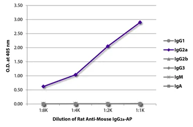 Rat Anti-Mouse IgG2a antibody [SB84a] (AP). GTX04227-03