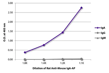 Rat Anti-Mouse IgA antibody [11-44-2] (AP). GTX04228-03