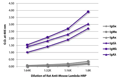 Rat Anti-Mouse lambda light chain antibody [JC5-1] (HRP). GTX04229-01