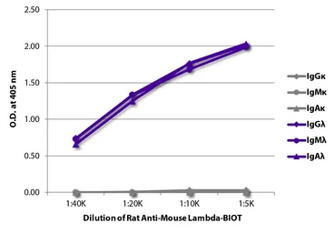 Rat Anti-Mouse lambda light chain antibody [JC5-1] (Biotin). GTX04229-02