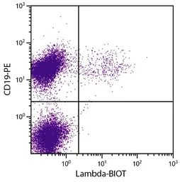 Rat Anti-Mouse lambda light chain antibody [JC5-1] (Biotin). GTX04229-02