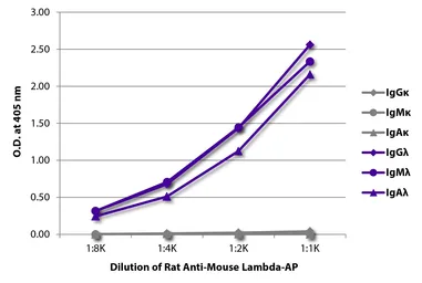 Rat Anti-Mouse lambda light chain antibody [JC5-1] (AP). GTX04229-03