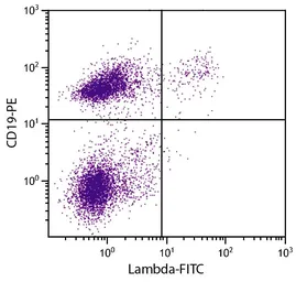 Rat Anti-Mouse lambda light chain antibody [JC5-1] (FITC). GTX04229-06