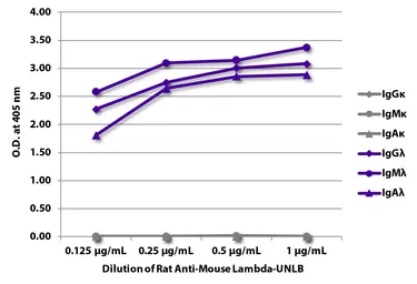 Rat Anti-Mouse lambda light chain antibody [JC5-1]. GTX04229