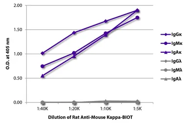 Rat Anti-Mouse kappa light chain antibody [H139-52.1] (Biotin). GTX04230-02