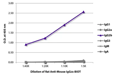 Rat Anti-Mouse IgG2b antibody [SB74g] (Biotin). GTX04231-02