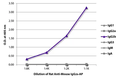 Rat Anti-Mouse IgG2b antibody [SB74g] (AP). GTX04231-03