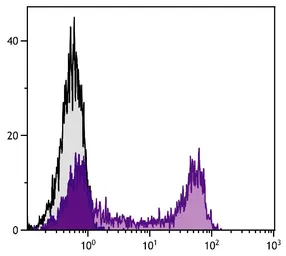 Rat Anti-Mouse IgG2b antibody [SB74g] (FITC). GTX04231-06