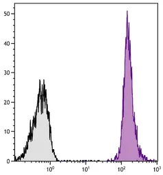 Goat Anti-Rat IgG antibody, F(ab')2 fragment, pre-adsorbed (R-PE-Cy5). GTX04233-09