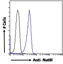 Anti-NAT8L antibody used in Flow cytometry (FCM). GTX04238