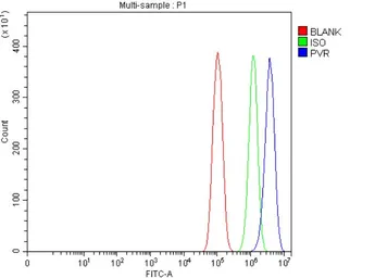 Anti-CD155 antibody [5I13D1] used in Flow cytometry (FCM). GTX04249