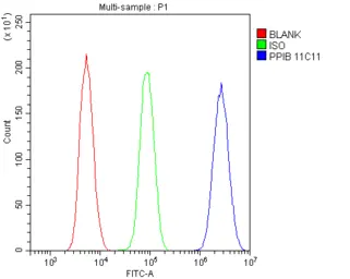 Anti-Cyclophilin B antibody [11C11] used in Flow cytometry (FCM). GTX04262