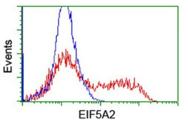 Anti-EIF5A2 antibody [OTI6G7] used in Flow cytometry (FCM). GTX04263