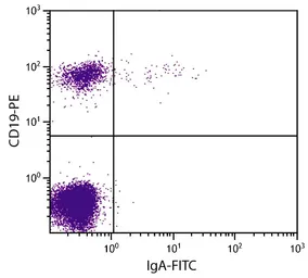 Goat anti-Human IgA (Heavy chain) antibody, pre-adsorbed (FITC). GTX04299-06
