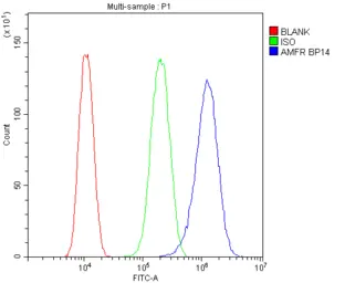 Anti-AMFR antibody used in Flow cytometry (FCM). GTX04315