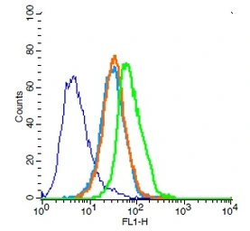 Anti-CD31 antibody used in Flow cytometry (FCM). GTX04325