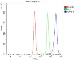 Anti-APAF1 antibody used in Flow cytometry (FCM). GTX04330