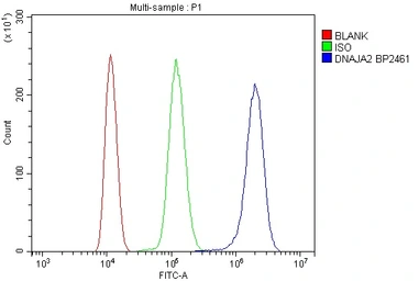 Anti-DNAJA2 antibody used in Flow cytometry (FACS). GTX04359