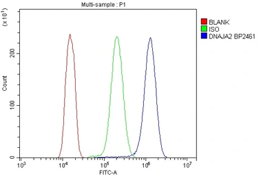 Anti-DNAJA2 antibody used in Flow cytometry (FACS). GTX04359