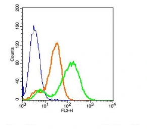 Anti-Dopamine Transporter antibody used in Flow cytometry (FCM). GTX04526