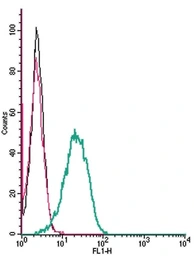 Anti-Dopamine Transporter antibody used in Flow cytometry (FACS). GTX04527