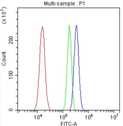 Anti-Gasdermin D antibody used in Flow cytometry (FCM). GTX04537