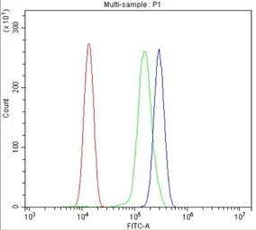 Anti-Gasdermin D antibody used in Flow cytometry (FCM). GTX04537