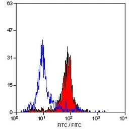 Anti-CD31 antibody [CO.3E1D4] used in Flow cytometry (FCM). GTX04540
