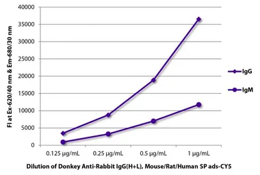 Donkey anti-Rabbit IgG antibody, pre-adsorbed (Cy5). GTX04551-24