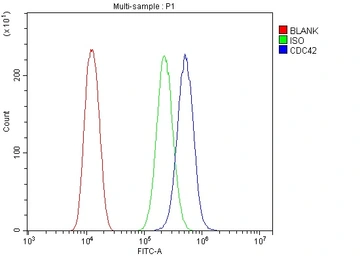 Anti-CDC42 antibody used in Flow cytometry (FCM). GTX04584
