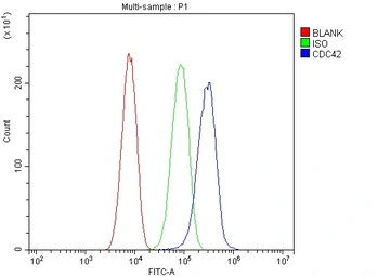 Anti-CDC42 antibody used in Flow cytometry (FCM). GTX04584