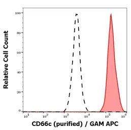 Anti-CEACAM6 antibody [B6.2] used in Flow cytometry (FCM). GTX04601