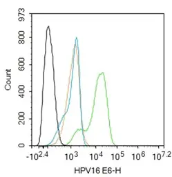 Anti-Human Papillomavirus type 16 E6 antibody used in Flow cytometry (FACS). GTX04630