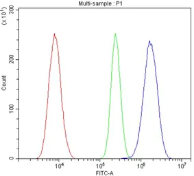 Anti-IL3 Receptor beta antibody used in Flow cytometry (FCM). GTX04641