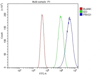 Anti-cGK1 antibody used in Flow cytometry (FCM). GTX04678