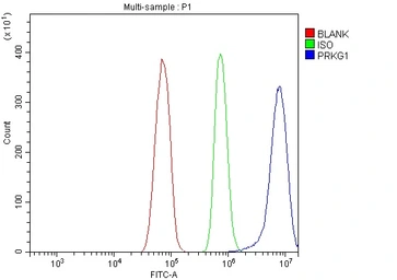Anti-cGK1 antibody used in Flow cytometry (FCM). GTX04678