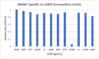 Anti-cGMP antibody [RM467] used in ELISA (ELISA). GTX04680
