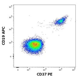 Anti-CD37 antibody [MB-1] (PE) used in Flow cytometry (FACS). GTX04698-08