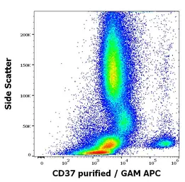 Anti-CD37 antibody [MB-1] used in Flow cytometry (FCM). GTX04698