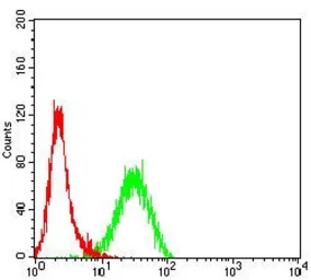 Anti-CD109 antibody [3B5G6] used in Flow cytometry (FCM). GTX04727