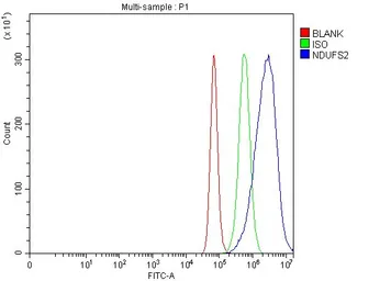 Anti-NDUFS2 antibody used in Flow cytometry (FCM). GTX04733