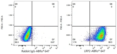 Anti-LRP2 antibody [ARC63830] used in Flow cytometry (FCM). GTX04758