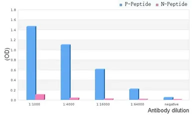 Anti-Estrogen Receptor beta (phospho Ser87) antibody used in ELISA (ELISA). GTX04766