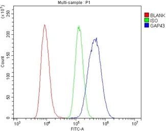 Anti-GAP43 antibody used in Flow cytometry (FCM). GTX04779