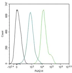 Anti-PAX2 antibody used in Flow cytometry (FCM). GTX04786