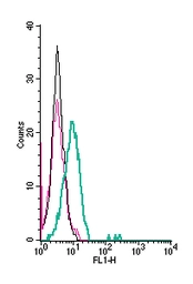 Anti-NCAM antibody used in Flow cytometry (FCM). GTX04796