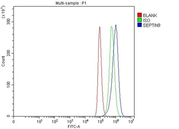 Anti-SEPT9 antibody used in Flow cytometry (FCM). GTX04846