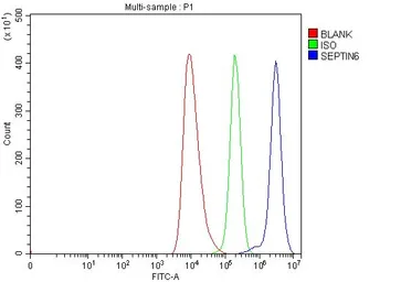 Anti-SEPT6 antibody used in Flow cytometry (FCM). GTX04848